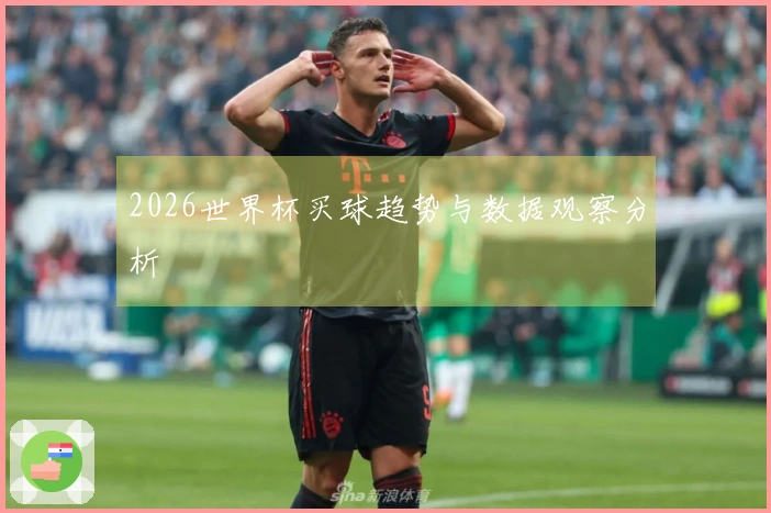 2026世界杯买球趋势与数据观察分析