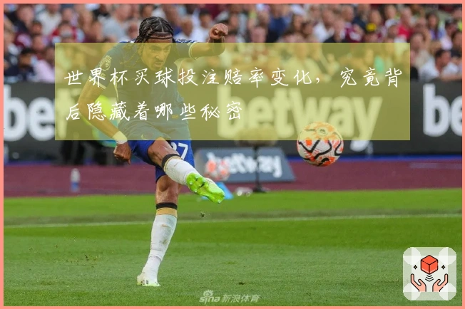 世界杯买球投注赔率变化，究竟背后隐藏着哪些秘密