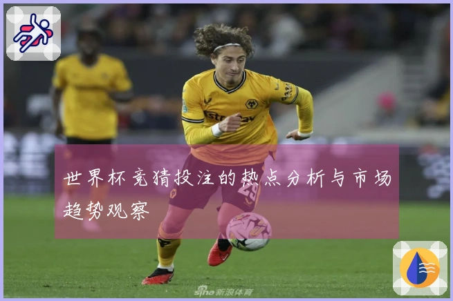 世界杯竞猜投注的热点分析与市场趋势观察