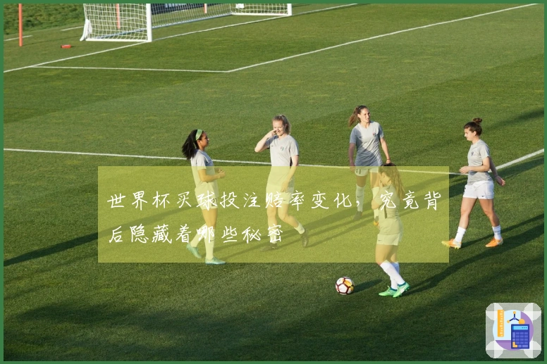 世界杯买球投注赔率变化，究竟背后隐藏着哪些秘密