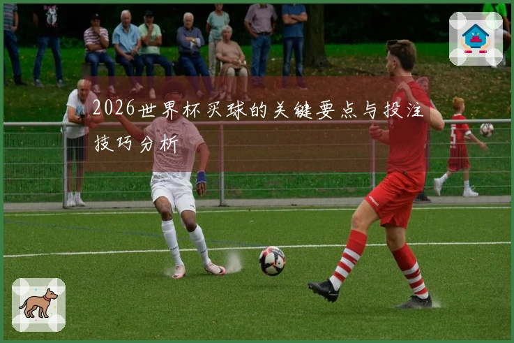 2026世界杯买球的关键要点与投注技巧分析