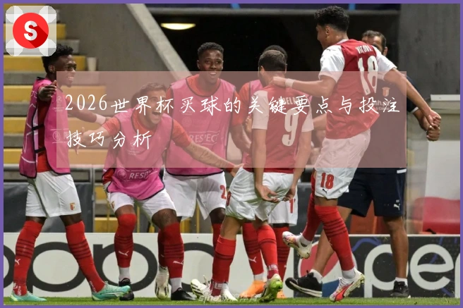 2026世界杯买球的关键要点与投注技巧分析