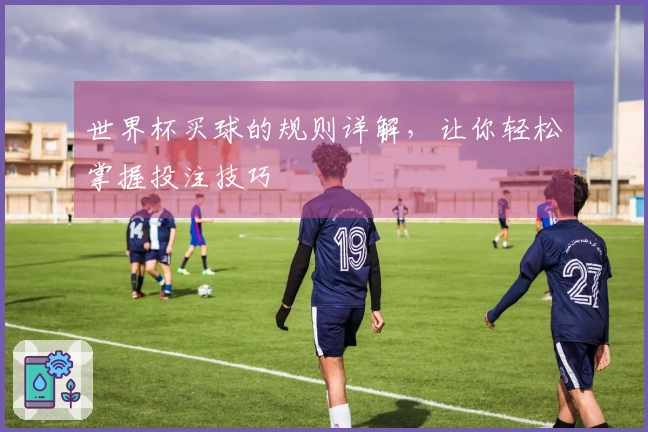 世界杯买球的规则详解，让你轻松掌握投注技巧