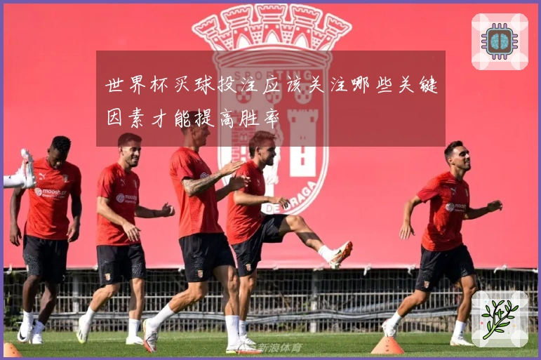 世界杯买球投注应该关注哪些关键因素才能提高胜率