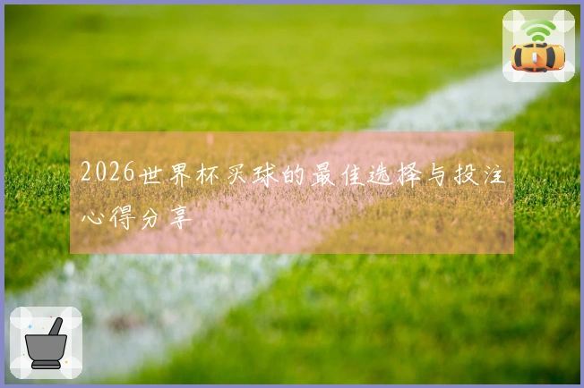 2026世界杯买球的最佳选择与投注心得分享