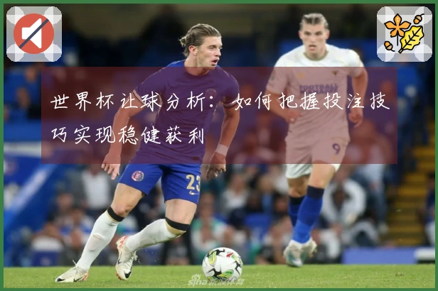 世界杯让球分析：如何把握投注技巧实现稳健获利